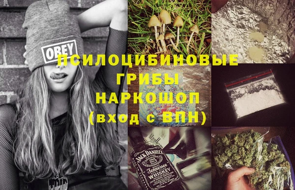 винт Каменка