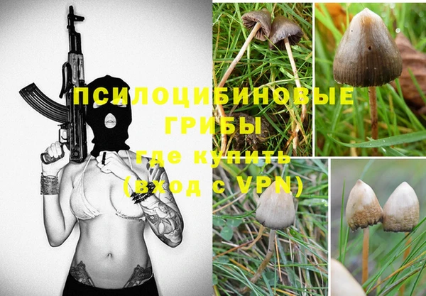 винт Каменка