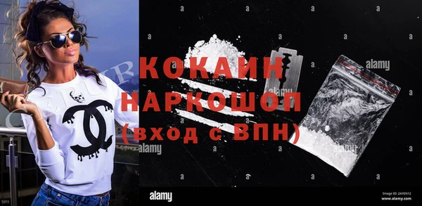 винт Каменка