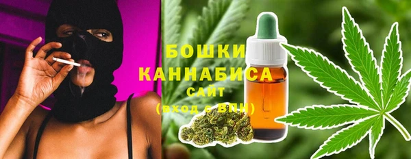 винт Каменка